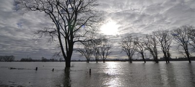 Hochwasser bei Krefeld