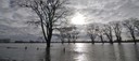 Hochwasser bei Krefeld