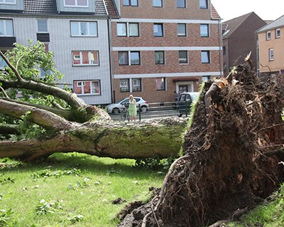 Was tun gegen immer katastrophalere Unwetter?