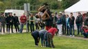 Rock, Pop und Folk - 260 Besucher auf dem rebellischen Jugendkonzert im Nordsternpark